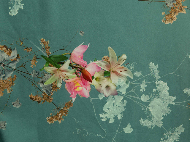 Е8843/D25/С4 - Супер-софт