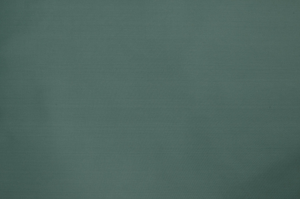 13556/С20 - Плащевая ткань