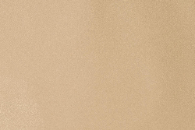 13104/С22 - Кожа