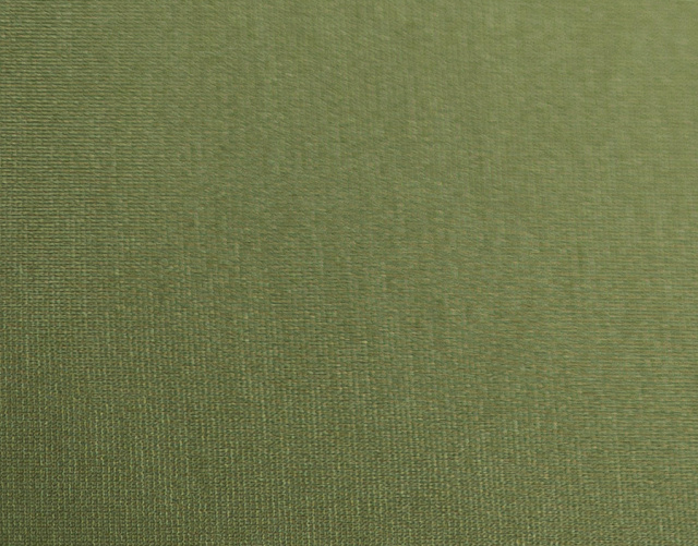 BT10801/C17 - Трикотаж джерси