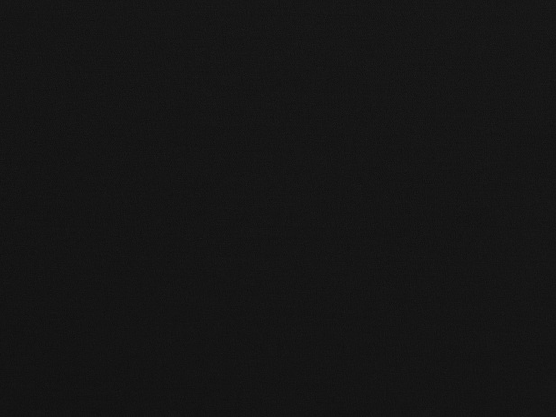 BT10806/C11 - Гальяно