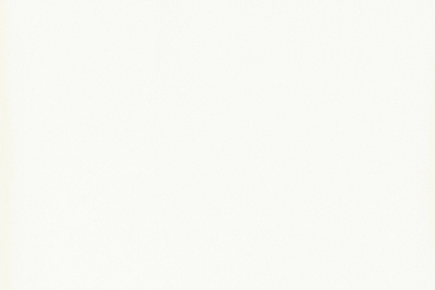 13286B/C2 - Шифон-однотон