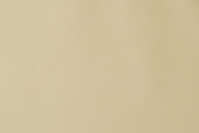 13104/С13 - Кожа
