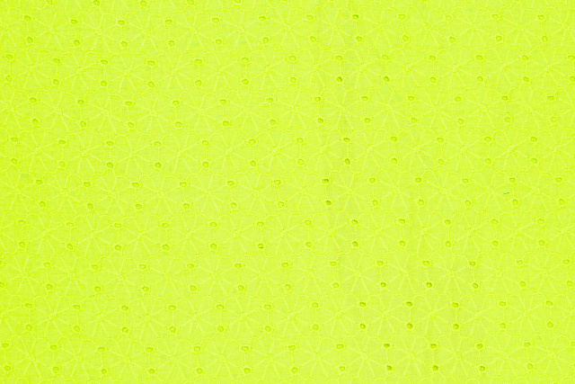 13821/C1 - Хлопок-шитье