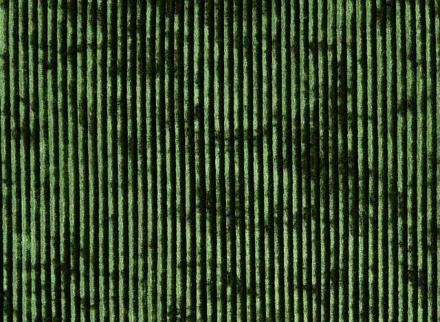 13368/C3 - Бархат-плиссе